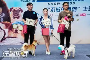 夏天拒做单身狗汪星卧底解烦忧,爱犬人士联名安利暑期必看
