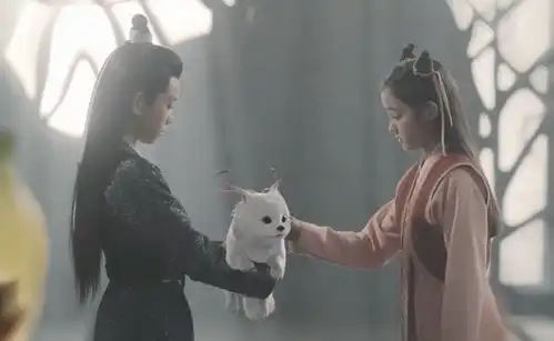 与君初相识林昊青为何软弱内心所爱,早有取舍,心系云禾
