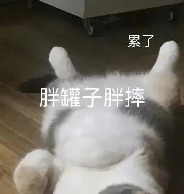二胖表情包发情