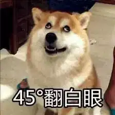 抱歉阿娇,这一次我必须泼你一盆冷水