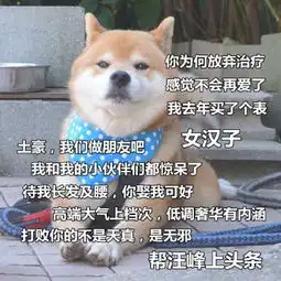 可爱逗比的汪星人表情包头像都微信头像我要个性网
