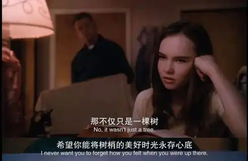 心视角怦然心动之女儿心目中的好爸爸
