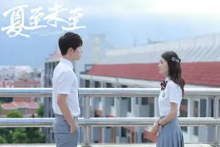夏至未至程七七怀孕立夏离开大结局傅小司找到立夏了吗
