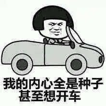 老司机必看买了车之后的生活是啥样看看这些霸道总裁怎么说