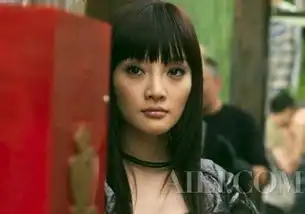中国女星触电好莱坞华人骄傲不让须眉
