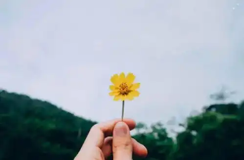 用自己照片当微信头像的人,都是什么样的人很准
