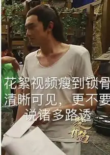 一起来看流星雨当年不要林更新,如今张翰人气大跌,他却火了
