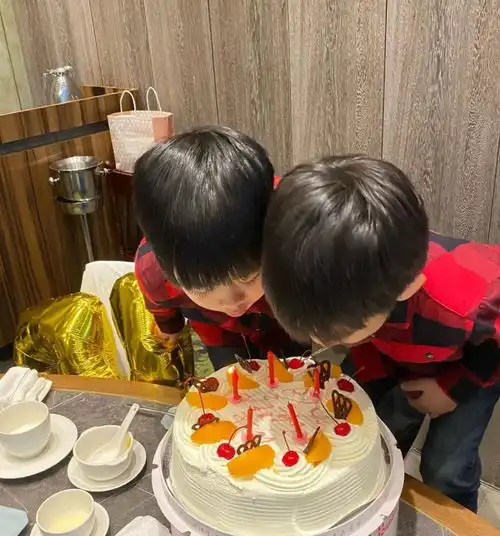 陈若仪为5岁双胞胎庆生,一个像爸一个像妈,母子对话尽显温馨
