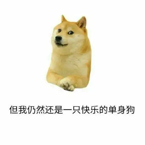 表情搞笑超逗的表情包,我仍然是一只快乐的单身狗表情