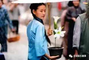 金粉世家演员现状私生子,离婚撕逼
