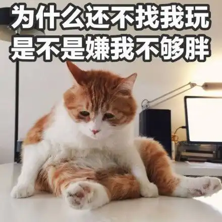 有什么套路女朋友的表情包
