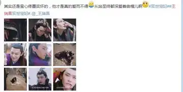 双世宠妃虐心来袭,王爷王瑞昌不要太催泪
