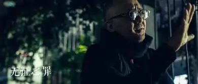 无证之罪在暗夜中寻找阳光无证之罪影评
