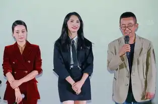 找到你首映礼马伊琍解读孙芳造型众星助阵
