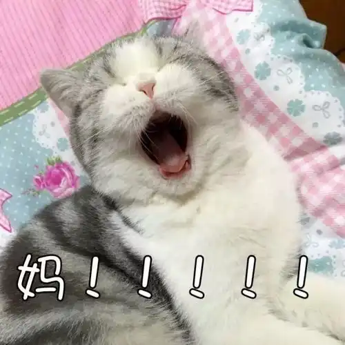 你被唠叨了吗
