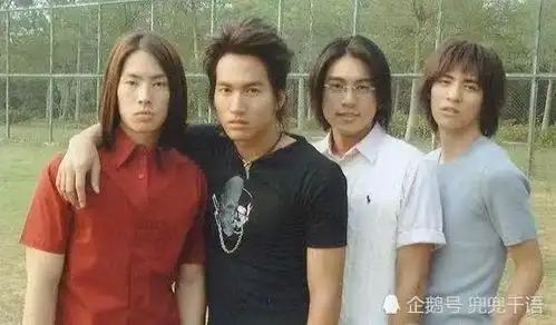 大s自曝,当年因为一个原因,差点就看不到流星花园了
