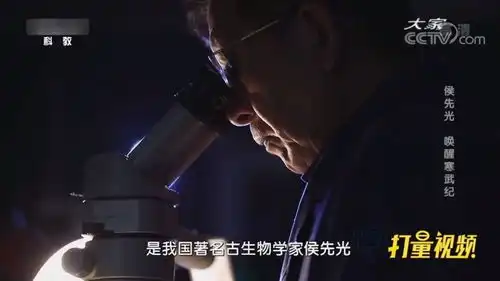专家找到寒武纪生物化石,一眼看上去,竟像活的一样
