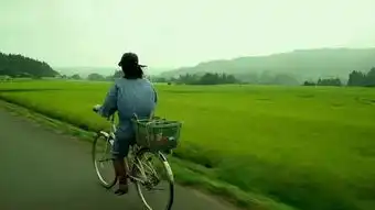 推荐一本自给自足指南书,让你丰衣足食x