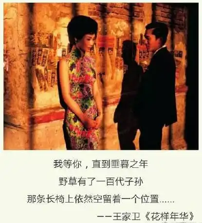 王家卫电影里那些耐人寻味的经典台词,你看过几部呢
