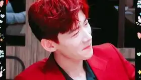 哔哩哔哩干杯bilibili
