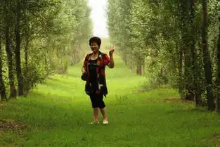 上海妈妈卖房完成儿子遗愿沙漠12年种树两百万棵
