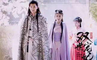 双世宠妃剧照大全图片驸马