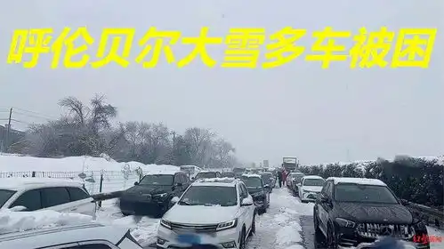 呼伦贝尔大雪多车被困,旅游大巴被困一天一夜,30余名乘客获救援