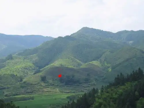 阴宅图片仙人献掌形要穴在何处
