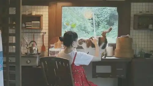 现实版小森林她离开城市,住森林木屋,16万网友却为其点赞