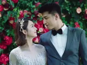 赵丽颖出演电视剧中,哪一部剧让你为之圈粉
