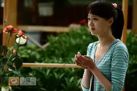 流星雨2郑爽感情戏纠结彪悍无敌姐哭到崩溃惹人怜
