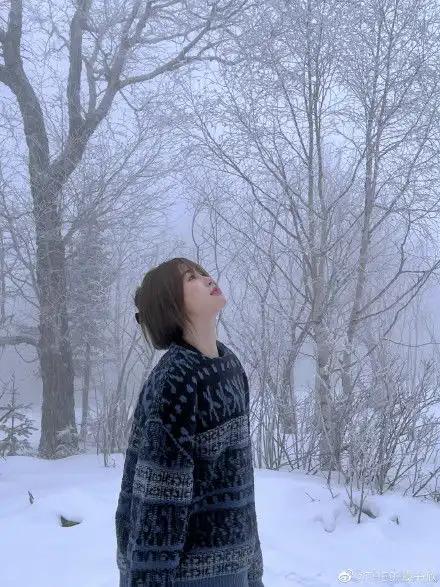 组图虞书欣晒冬日雪景大片氛围感好似电影情书剧照
