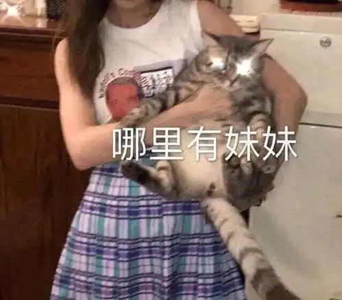 搞笑gif吃螃蟹只吃螃蟹腿,难怪是有矿的家庭