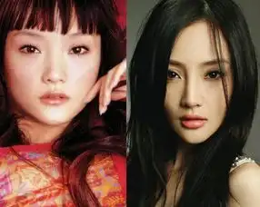 包子脸突变锥子脸被质疑整容的女星有哪些

