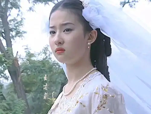 金粉世家20年,女一女二同上热搜,刘亦菲逆袭成巨星,董洁老了儿子撑场面