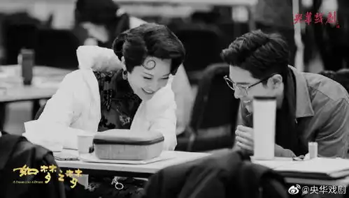 继斥私生后,如梦之梦官方发新剧照,肖战和许晴对视有氛围,气场不示弱
