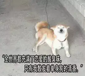 想在七夕不吃狗粮这些suv能帮到你