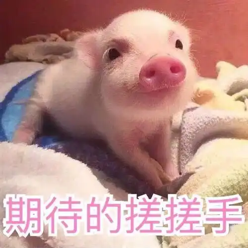 郑爽新剧悲伤逆流成河剧照首曝光,易遥的造型大家还满意吗
