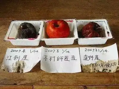 花木郎无农药化肥的奇迹苹果,是怎么炼成的
