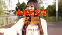 一首山楂树之恋歌声柔情,句句催泪,好听极了