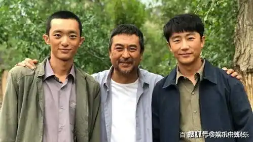 山海情姚晨的发文,另有玄机
