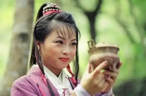 97天龙八部12位美人今昔对比,马夫人瘦脱了相,梦姑美貌依旧
