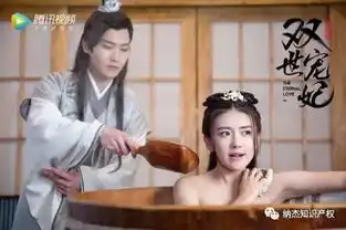 双世宠妃一个注册了商标的古装爆笑甜宠剧
