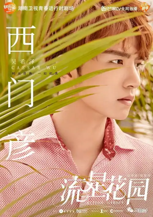 许玮伦流星花园剧照刘凯