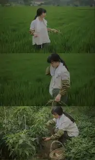 治愈力max的小森林色,就是这样调
