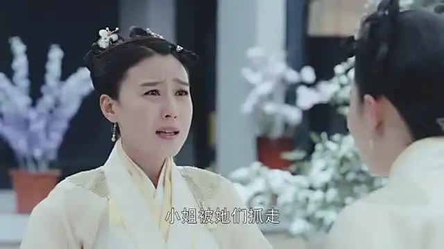 锦绣未央白芷回来发现未央不见了,紫烟直呼被她死了,被丢后山了
