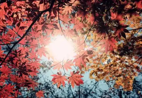 秋天,一定要走过这些地方,才算真的到了云南
