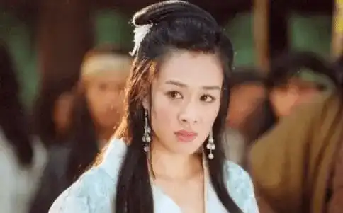 天龙八部有一个亮点,朱珠演马夫人很成功,与钟丽缇不同味道
