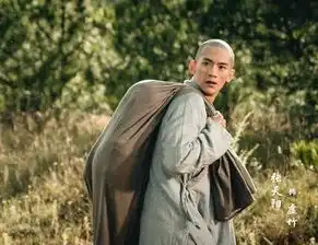 天龙八部翻拍,配角让人惊喜,沈晓海回归,邱心志将演段正淳

