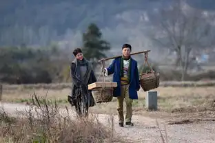 在远方像鸡毛飞上天一样好看
